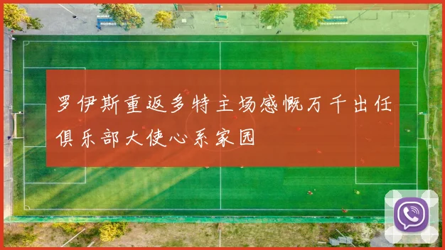 罗伊斯重返多特主场感慨万千出任俱乐部大使心系家园